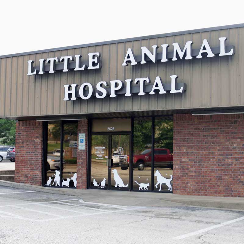 Longview Pet Hospital